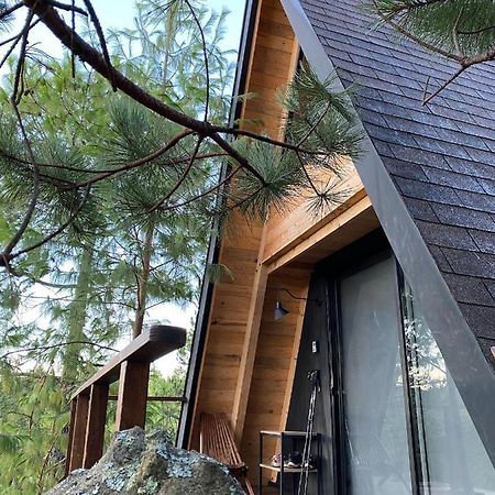Cabanas Chalets Piedra Alta Zacatlan Camotepec 外观 照片